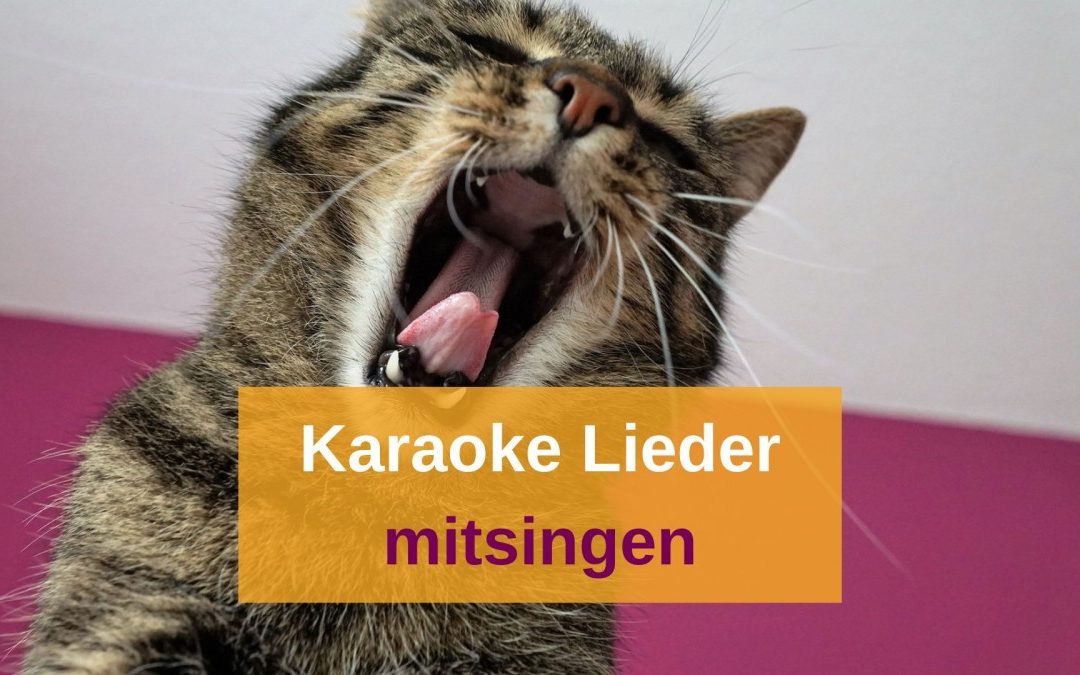 Karaoke Lieder